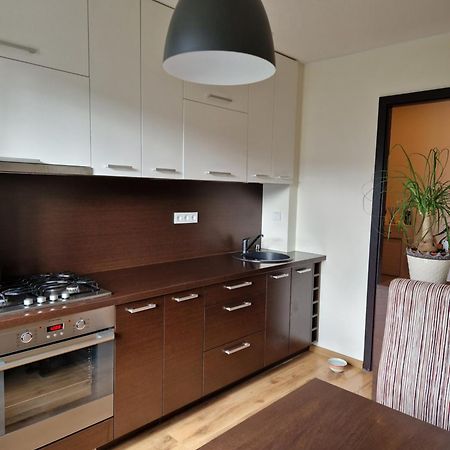 Siaure Apartman Kaunas Kültér fotó