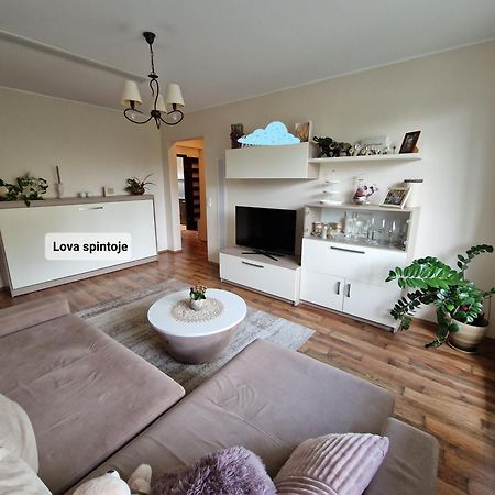 Siaure Apartman Kaunas Kültér fotó