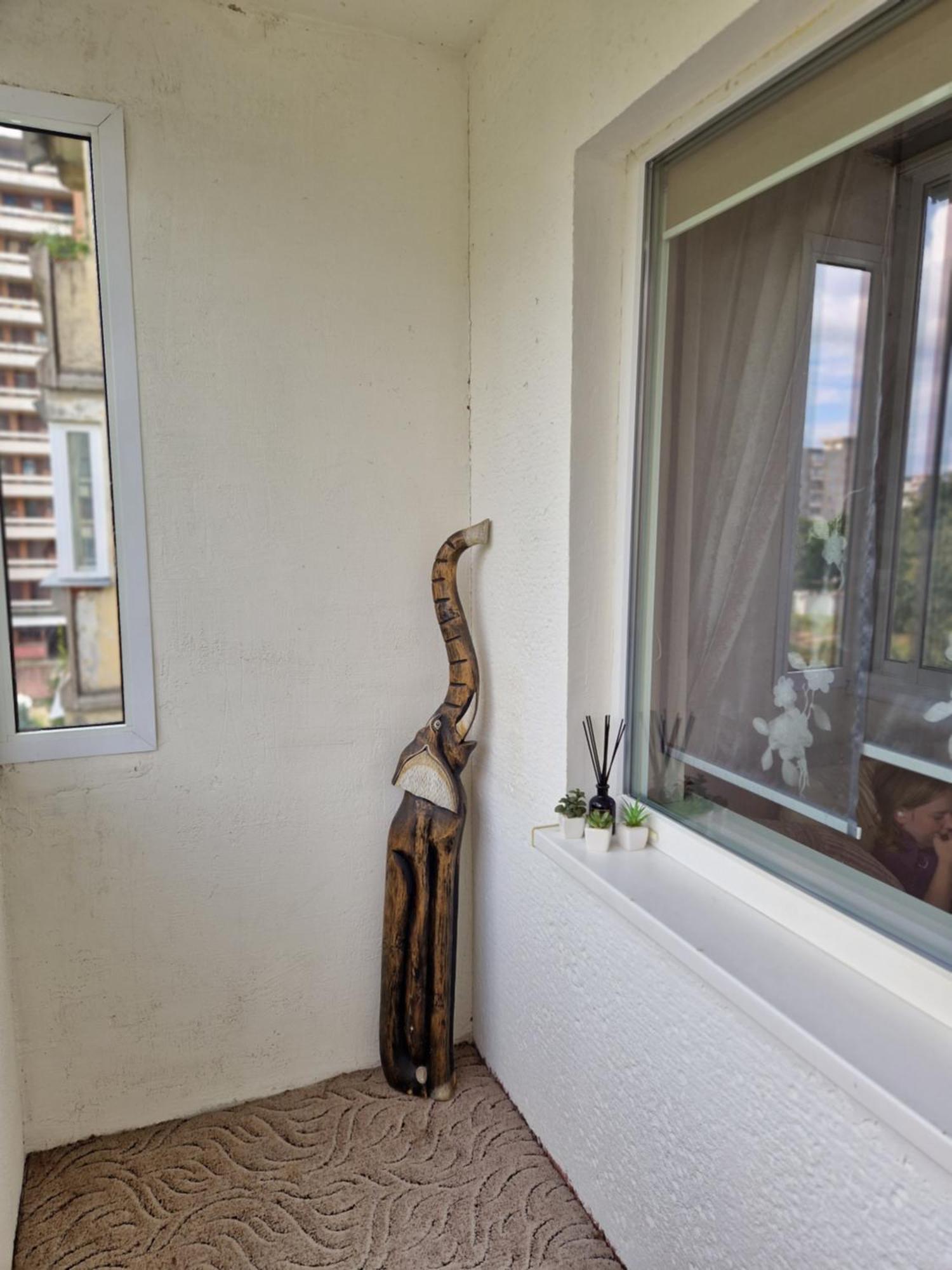 Siaure Apartman Kaunas Kültér fotó