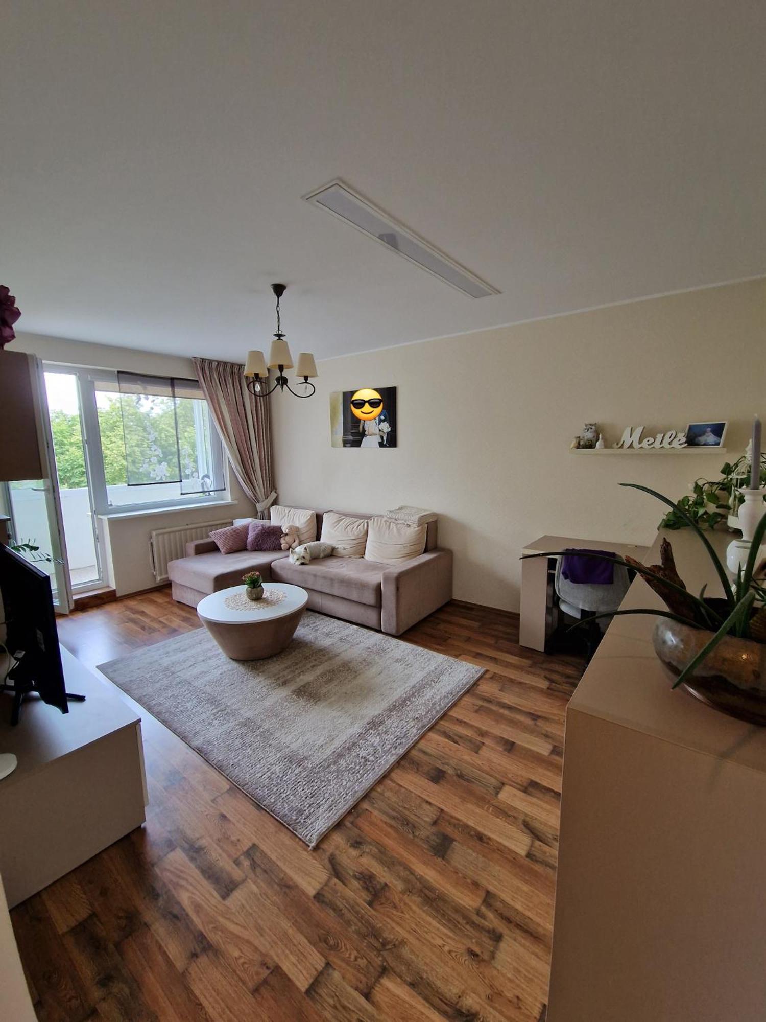 Siaure Apartman Kaunas Kültér fotó