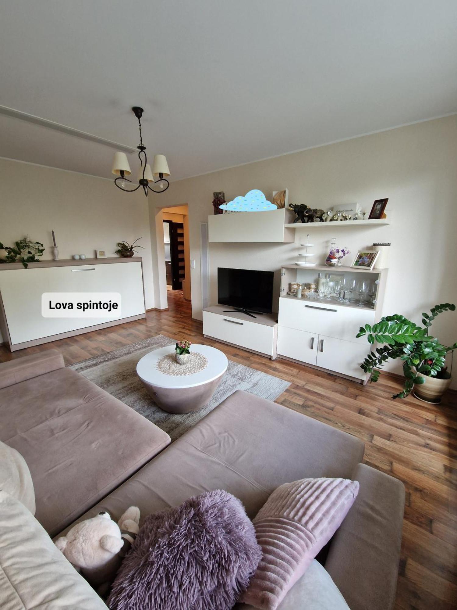 Siaure Apartman Kaunas Kültér fotó